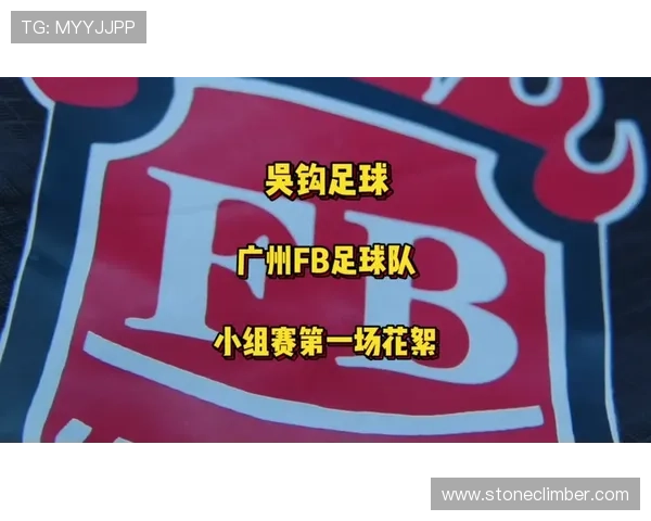 FB足球玩家常见问题与解决方案详尽解答帮助你轻松应对游戏中的各种挑战