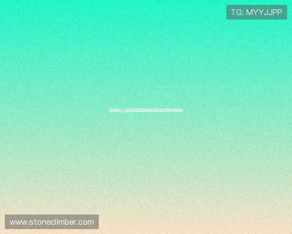 乐鱼体育app官网:世界杯足球明星阵容分析与球员表现亮点总结 乐鱼体育app官网:世界杯足球明星阵容分析与球员表现亮点总结